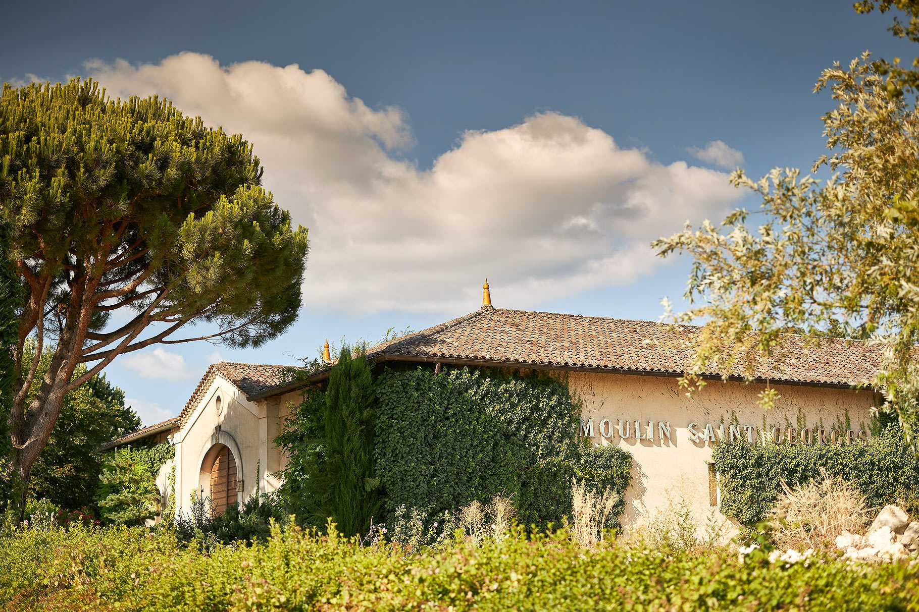 Chateau Moulin Saint-Georges - Esprit Ausone Famille Vauthier