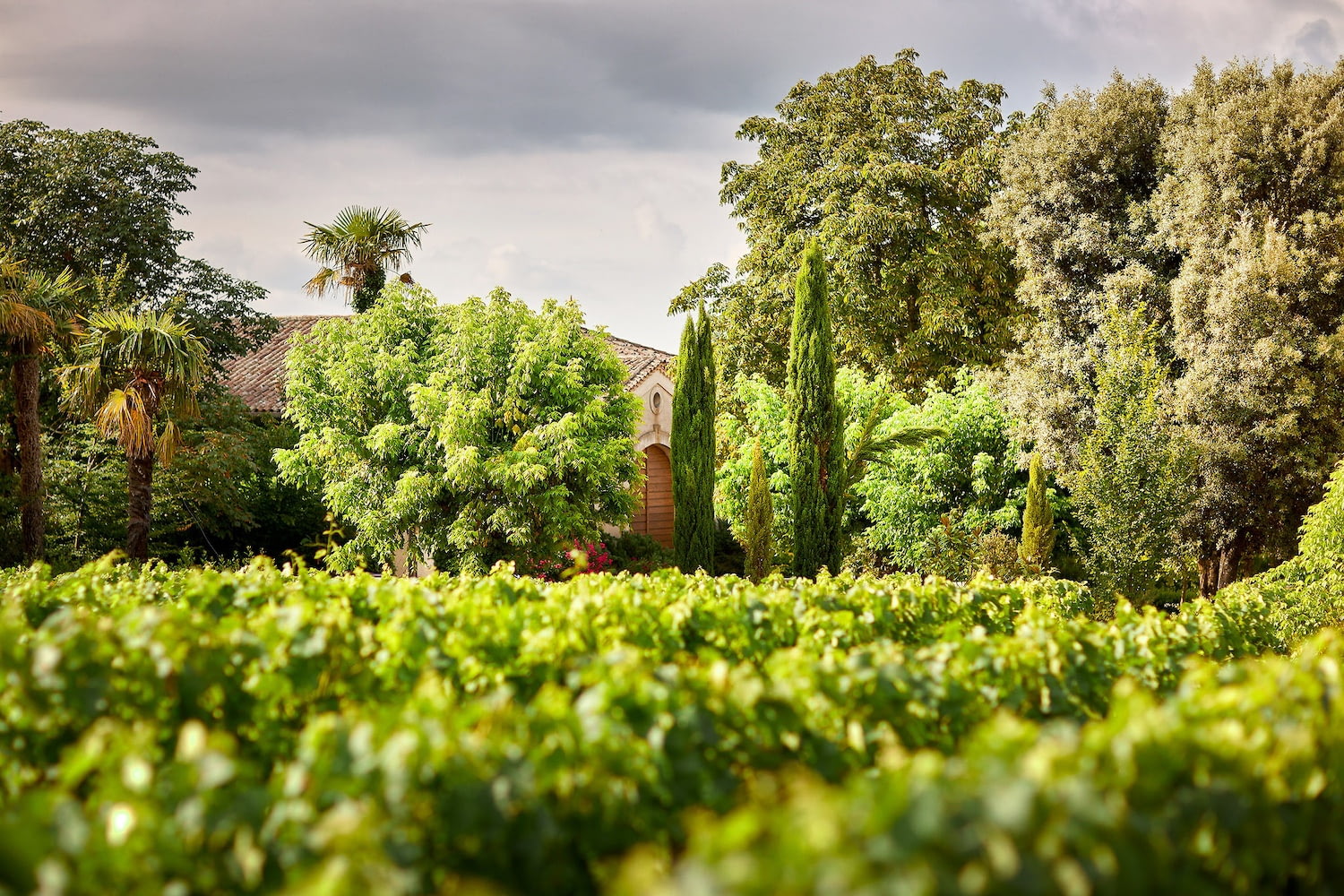Château Moulin Saint-Georges - Esprit Ausone Famille Vauthier